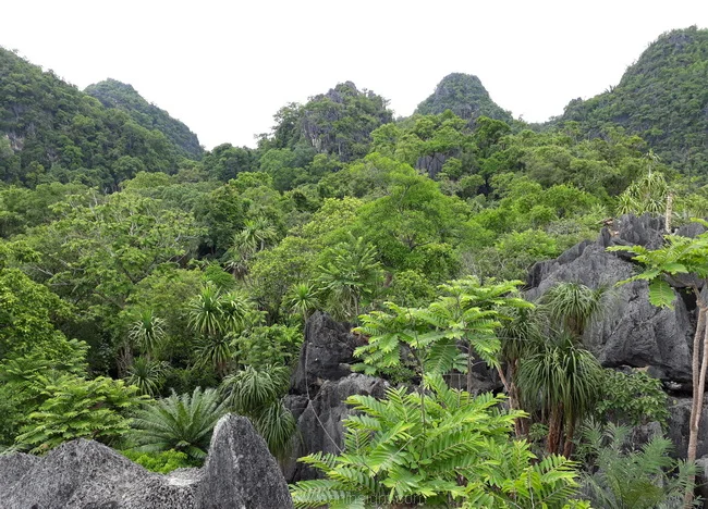 แผ่นเปลือกโลกอินโดจีน ที่ราบสูงโคราช พื้นที่ภาคอีสาน ภูมิศาสตร์ ภาคตะวันออกเฉียงเหนือ พื้นที่กายภาพภาคอีสาน