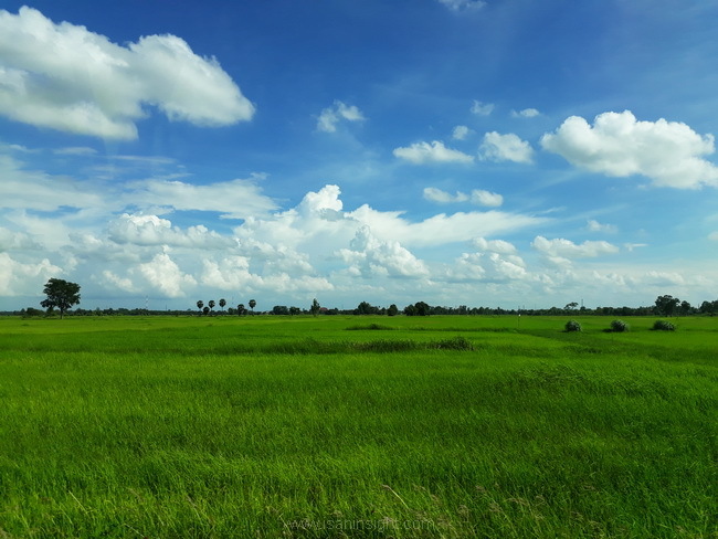 แผ่นเปลือกโลกอินโดจีน ที่ราบสูงโคราช พื้นที่ภาคอีสาน ภูมิศาสตร์ ภาคตะวันออกเฉียงเหนือ พื้นที่กายภาพภาคอีสาน