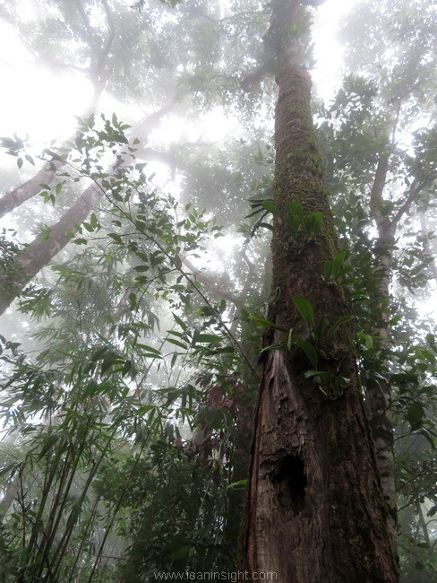 อุทยานแห่งชาติทองผาภูมิ สถานีน้ำตก รถไฟ น้ำตก กาญจนบุรี ทองผาภูมิ บ้านอีต่อง เหมืองแร่ปิล๊อก เดินทาง