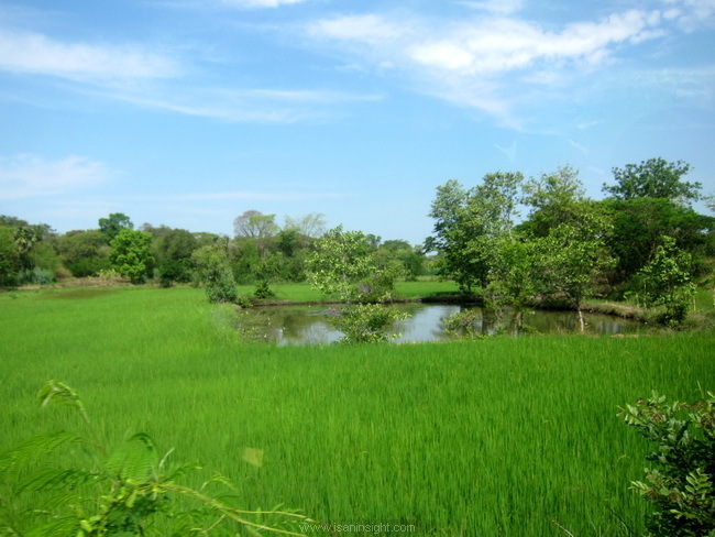 เสมาหิน, พระธาตุยาคู กาฬสินธุ์