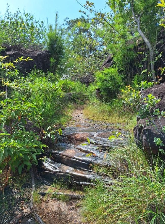 ภูผาเทิบ