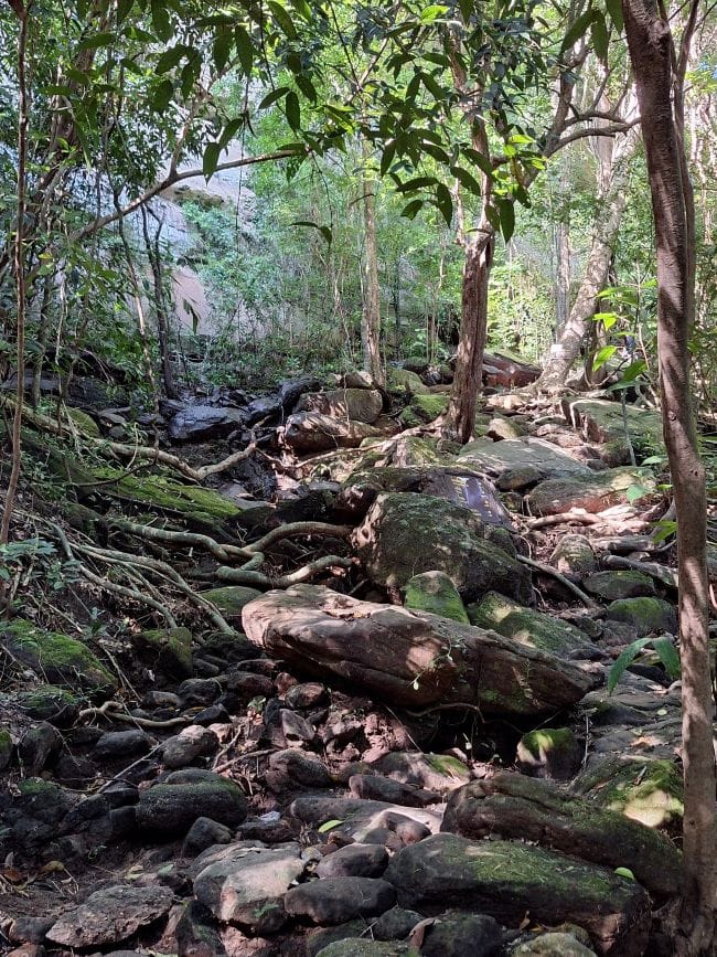 ภูผาเทิบ