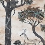 กวาง ลิง วัดยางทวง กวาง ลิง วัดยางทวง