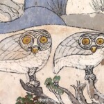 นกเค้าแมว วัดยางทวง นกเค้าแมว วัดยางทวง