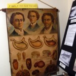 การศึกษาในอดีต สิ่งที่ทำให้เห็นพัฒนาการมาถึงในปัจจุบัน พิพิธภัณฑ์ท้องถิ่น อเมริกา พีวอคี วิสคอนซิน