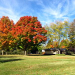ใบไม้เปลี่ยนสีที่พีวอคี พิพิธภัณฑ์ อเมริกา พีวอคี วิสคอนซิน Pewaukee Wisconsin