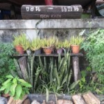 ไม้หมอนขอนแก่น(จำลอง)