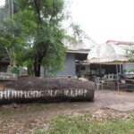 ไม้หมอนขอนแก่น(จำลอง)